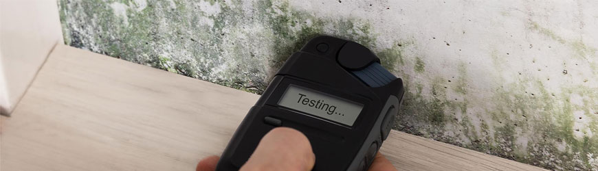 Mold assessment and testing