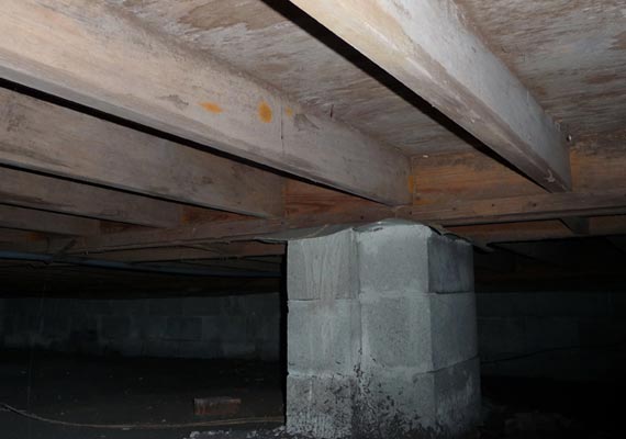 Roofs & Attics – Basements & Crawlspaces